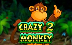 Игровой автомат Crazy Monkey 2