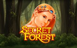 Игровой автомат Secret Forest