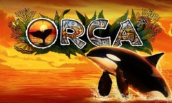 Игровые автоматы бесплатно Orca без регистрации